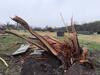 Rolla Cemetery Tornado Damage