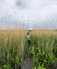 Wetland monitoring in Sweet Hall Marsh, VA