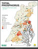 Chesapeake Bay Nontidal Network: 2014-2023 Total Phosphorus 10-year Trend and Per-Acre Load