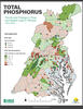 Chesapeake Bay Nontidal Network: 2014-2023 Total Phosphorus 10-year Trends and Percent Change in Flow-normalized Loads