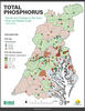 Chesapeake Bay Nontidal Network: 2014-2023 Total Phosphorus 10-year Trends and Change in Flow-normalized Per Acre Loads