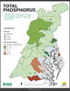 Chesapeake Bay Nontidal Network: 1985-2023 Total Phosphorus Trends and Percent Change in Flow-Normalized Load