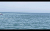 Deployment of the chirp seismic instrument from the beach