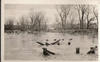 Flood debris along the Belle Fourche River