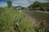North Fork Gunnison River near Hotchkiss - August 2005