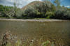 North Fork Gunnison River near Hotchkiss - August 2005