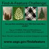 Find-A-Feature - Conifer_4