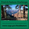 Find-A-Feature - Conifer_5