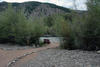 Lake Fork of the Gunnison near Lake City, August 2010