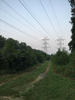 Powerlines Moon