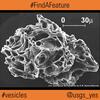 Find-A-Feature: Vesicles USGS SEM Pumice