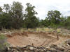 South Rim Tour - remains of a kiva at Tusayan Ruin