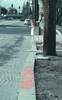 Evidence of Fault Creep Along the Hayward Fault