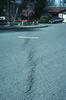 Evidence of Fault Creep Along the Hayward Fault