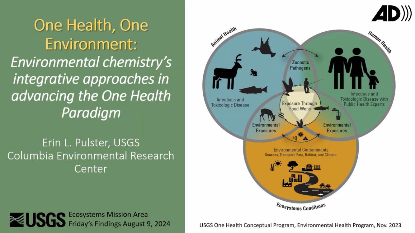 FridaysFindings-OneHealth-