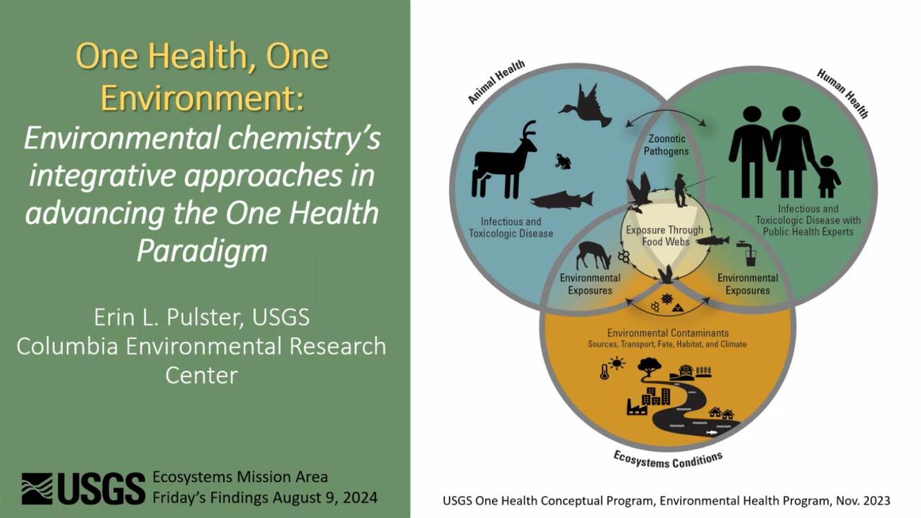 One Health, One Environment: Environmental chemistry's integrative