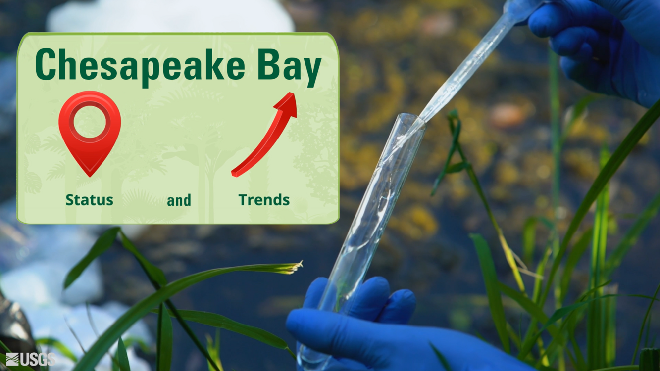Chesapeake Bay Status and Trends | U.S. Geological Survey