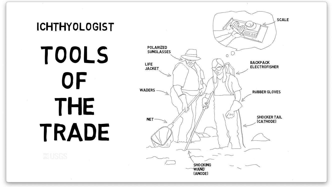 i-am-a-n-ichthyologist-u-s-geological-survey