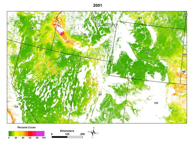 Time-series animation shows biannual variation of early season cheatgrass percent cover through most  sagebrush habitat