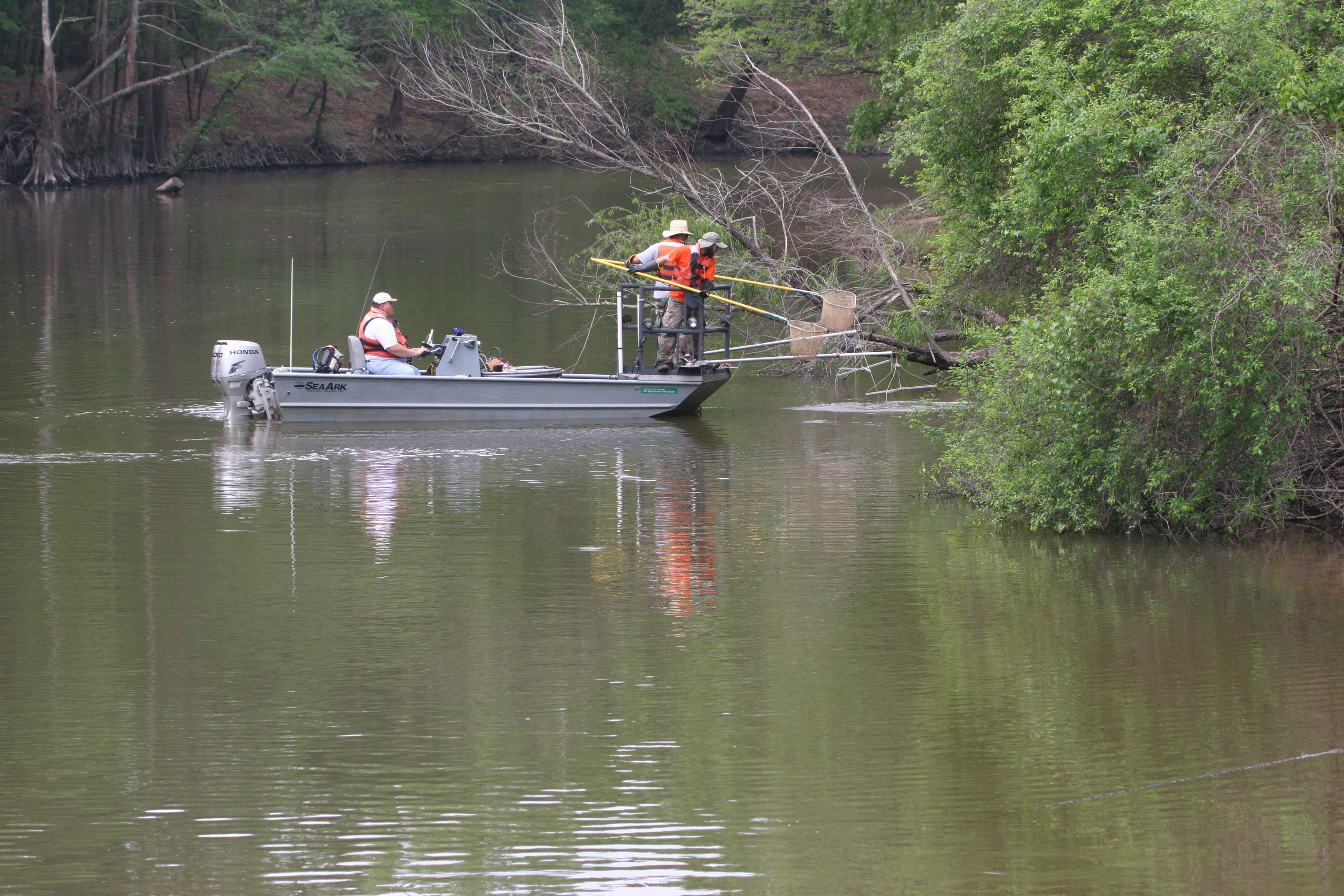 Big Cypress Creek, Texas U.S. Geological Survey