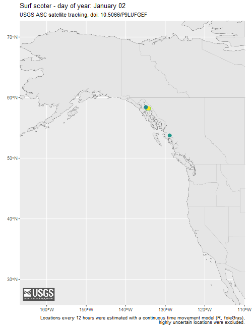 Argos Wildlife Tracking Surf Scoter animation